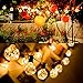 ECOWHO 30 LED Globe String Lights with G40 Light Bulbs UL Listed 32FT Indoor Outdoor Patio Garden Lawn Use (Warm White)