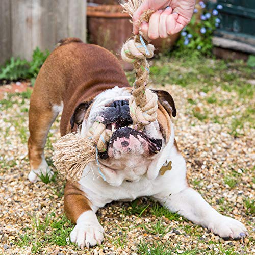 Beco Rope Natural Hemp Strong and Durable Tug Rope Toy for Dogs M