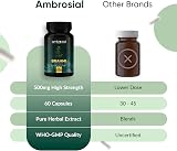 AMBROSIAL Bacopa Monnieri Brahmi Capsules 500mg 60 Tablets Non-GMO Gluten Free view 5