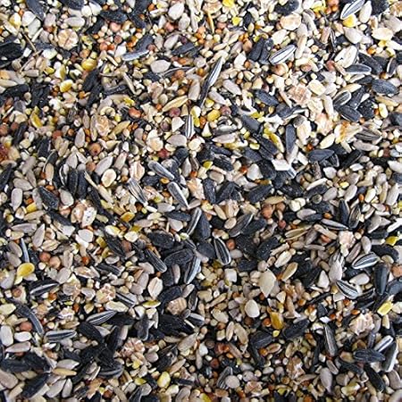 Wild Finch Bird Food - 20KG Sack - FREE P & P INCLUDED (FOR UK only