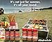 BBQ BROS RUBS - Southern Style (LIMITED EDITION SET) - Ultimate Barbecue Spices Seasoning Collection - Use for Grilling, Cooking, Smoking - Meat Rub, Dry Marinade, Rib Rub