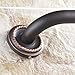 Fapully 19.5 Inch Grab Bar Bath&Shower Handle,Oil Rubbed Bronze