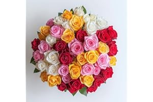 GlobalRose Fresh Cut Assorted Roses - 75 Roses (3 Bundles of 25) Fresh Bouquet for Birthday