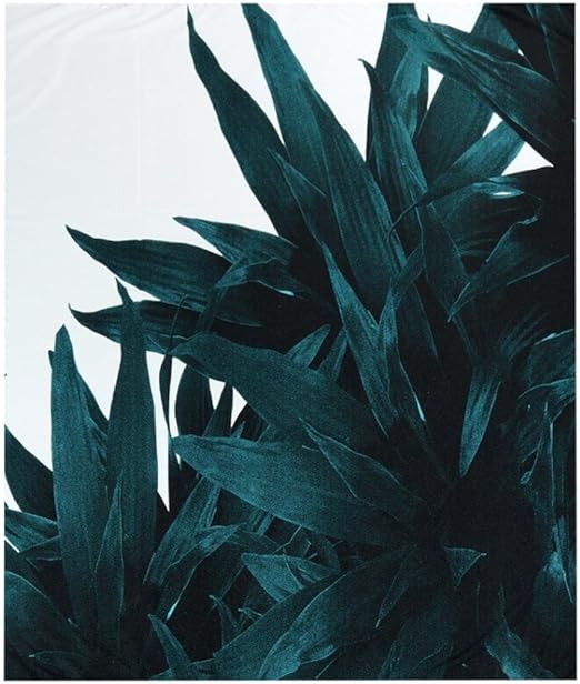 Téléchargement gratuit Images Vibola D Ete A Suspendre Tapisserie Plage Feuille Arbre Tapisserie actualisé par