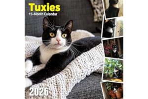 Tuxies 2026 Calendar: Playful tuxedo-patterned cats caught in candid moments