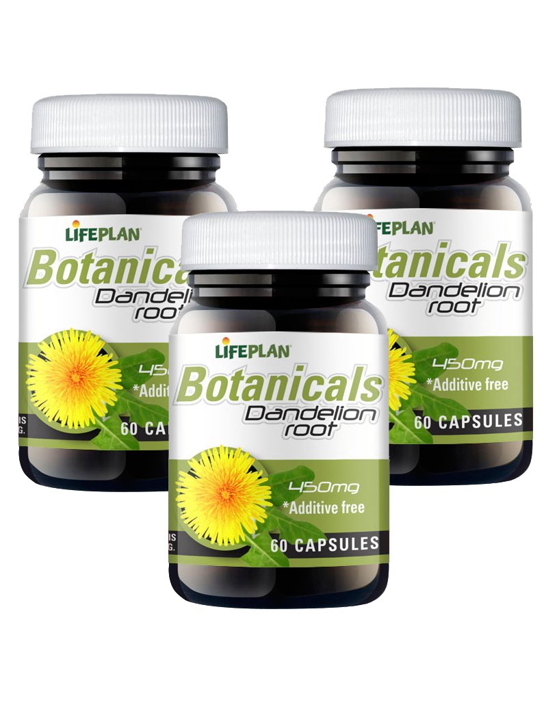 Lifeplan Dandelion Root 450mg 3 x 60 Capsules Amazon.co.uk Health