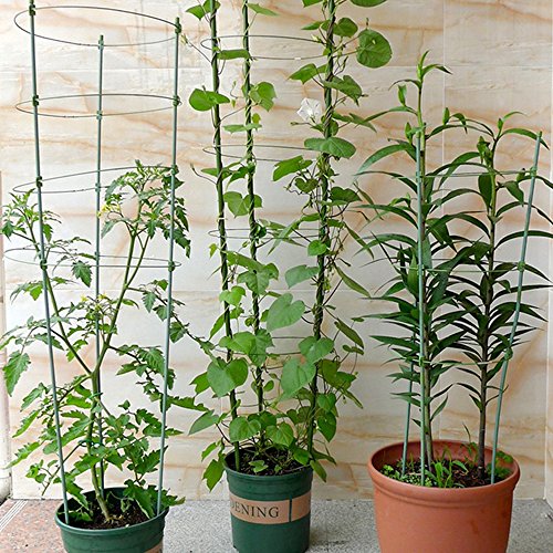 17.7" Plant Support Ring,ADSRO Adjustable Plant Grow Trellises Garden Basket Plant Fixed Climbing Gardening Plant Cage 3Pack (Green)
