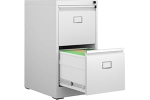 VIYET 2 Drawer File Cabinet,Metal Vertical File Cabinets with Lock,Office Steel Filing Cabinet for Hanging Letters/Legal/A4 (White)