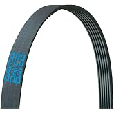 Poly Rib Belt DAYCO | Ends belt squeal and chirp from a cracked or glazed serpentine belt; precise-fit multi-rib, direct-fit OE replacement.