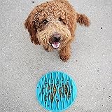 Pet Fun Slow Feeder Mat Portable Dog Feeder Bowl,Cat Food and Water Twin Set Feeding Bowl for Traveling,Pet Chilled Frosty Cooling Bowl,Non-slip Bottom,Food Grade Silicone Anti-gulp Dog Bowl,Blue (S)