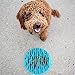 Pet Fun Slow Feeder Mat Portable Dog Feeder Bowl,Cat Food and Water Twin Set Feeding Bowl for Traveling,Pet Chilled Frosty Cooling Bowl,Non-slip Bottom,Food Grade Silicone Anti-gulp Dog Bowl,Blue (S)