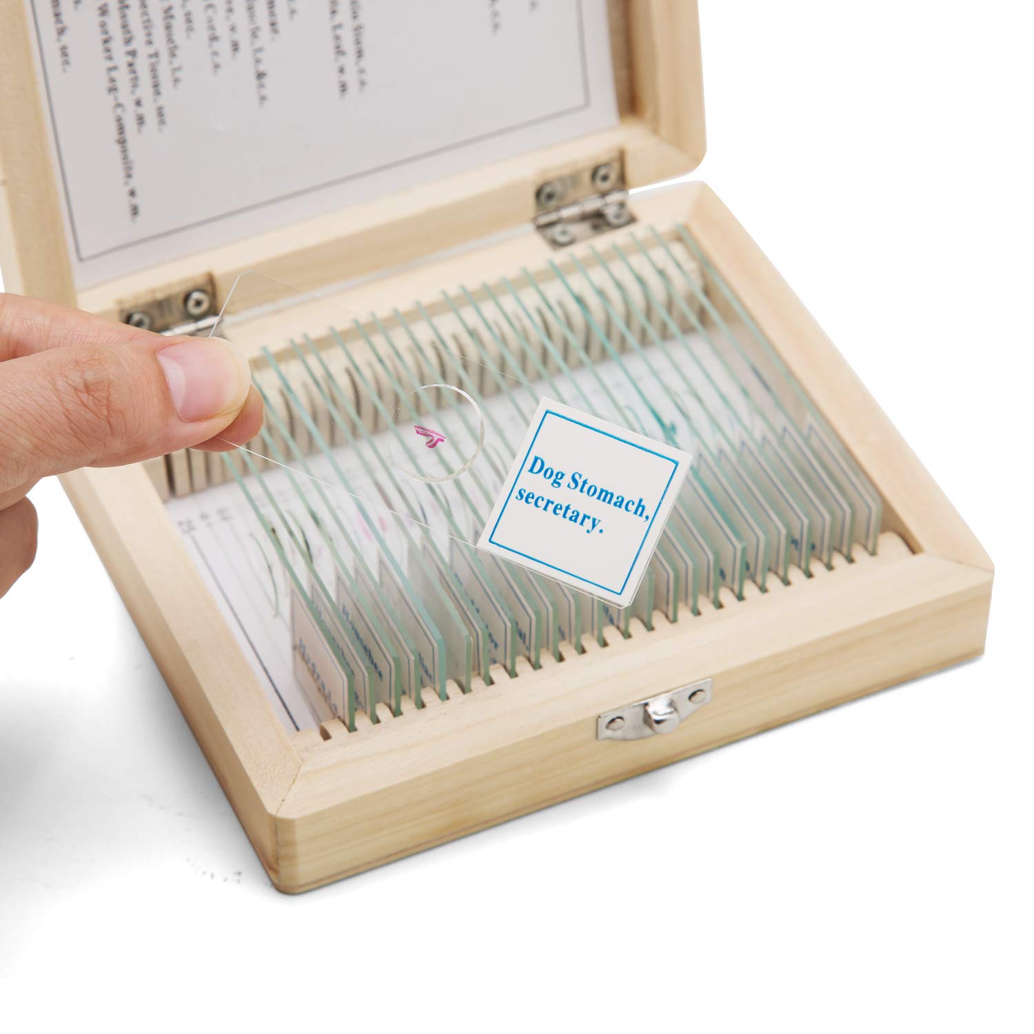 SWIFT Optical 25pcs Assorted Specimen Collection of Prepared Microscope