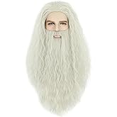 karlery Men Long Curly Grey Wizard Wig and Fake Beard Halloween Cosplay Costume Accessory Wig