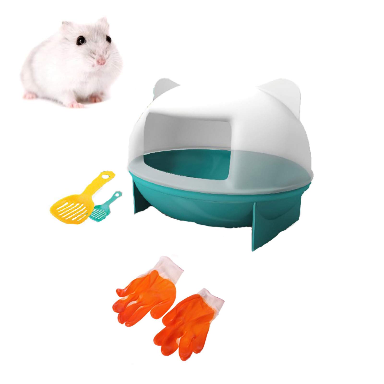 sugar glider dust bath