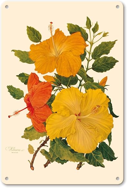 Amazon 22cm X 30cmヴィンテージハワイアンティンサイン ハワイアンハイビスカス ホノルル ハワイ アメリカ合衆国 ビンテージな植物のイラスト によって作成された ドロシー ファルコン プラット C 1950 Pacifica Island Art インテリア