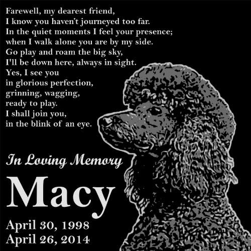 Personalized Black Poodle Dog Pet Memorial 12"x12" Engraved Black Granite Grave Marker Head Stone Plaque MAC1