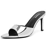 Susanny Mule Silver Heels for Women Pointed Open