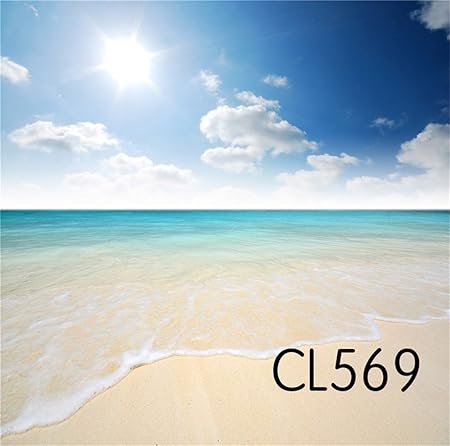 Amazon Lb トロピカルビーチ 写真撮影用背景 5x7フィート ハワイアン 海の風景 ビニール 写真撮影用背景 誕生日パーティー ウェディング イベント カスタム フォトスタジオ背景 小道具 レフ板 通販