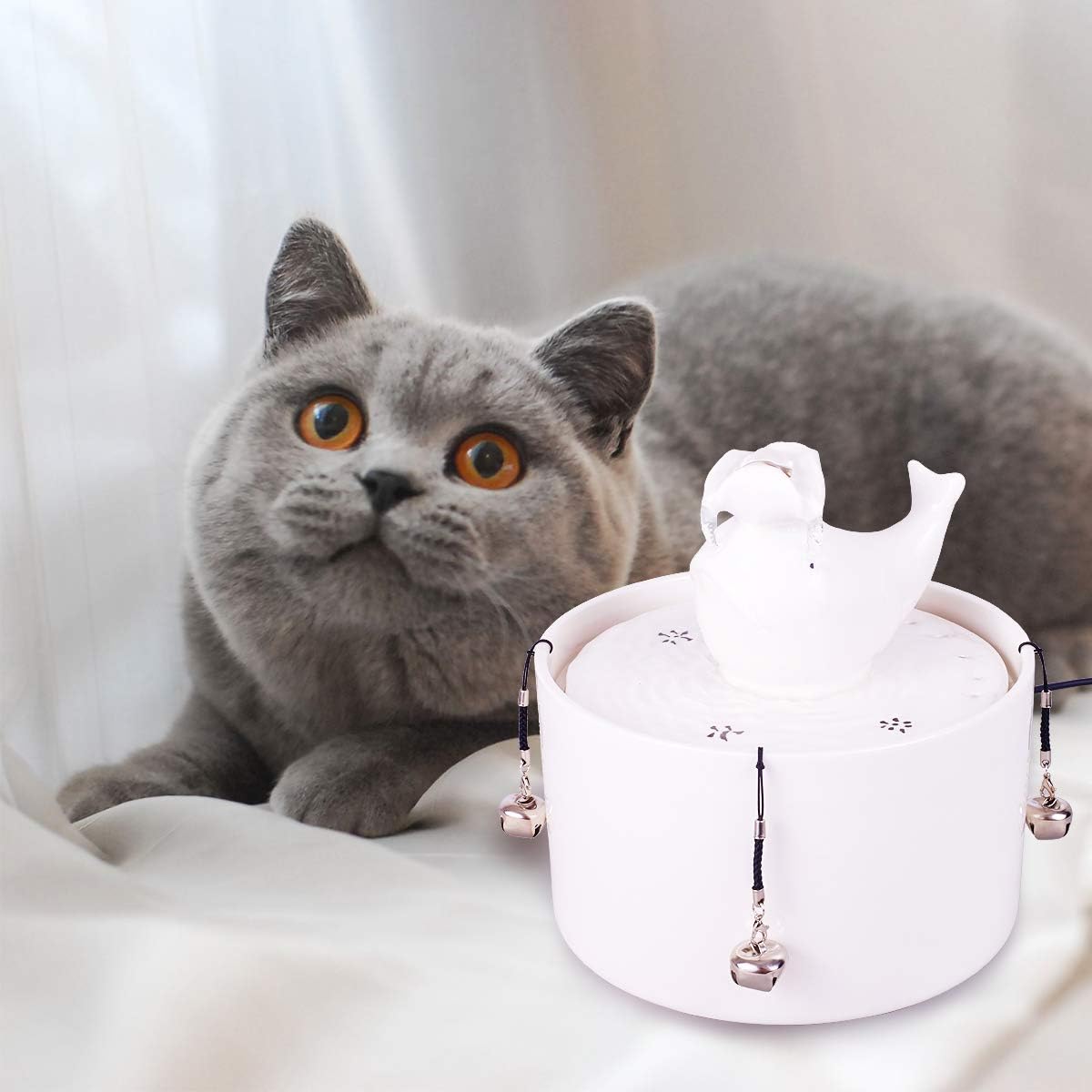 white whale water dispenser