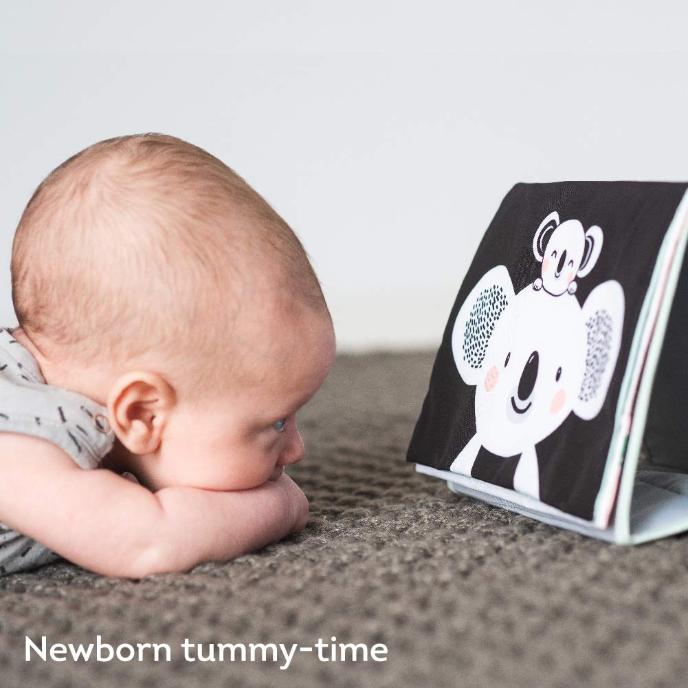 taf toys tummy time book