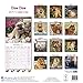 Chow Chow Dog Calendar 2017 - Chow Chow Calendar - Dog Breed Calendars - 2016 - 2017 wall calendars - 16 Month by Avonside