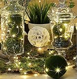 BMOUO 7Ft Copper Wire 20 Micro LEDs String Light Ultra-thin Starry Lights Battery Operated for Christmas Party, Kids Bedroom, Offices, BBQs, Wedding, Indoor and Outdoor Decorations (Warm White)