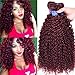 Red Wine Color Malaysian Deep Curl Hair 3 Bundles #99J Malaysian Kinky Curly Hair 100% Ombre Human Hair Extensions (16 18 20 inch, #99J)