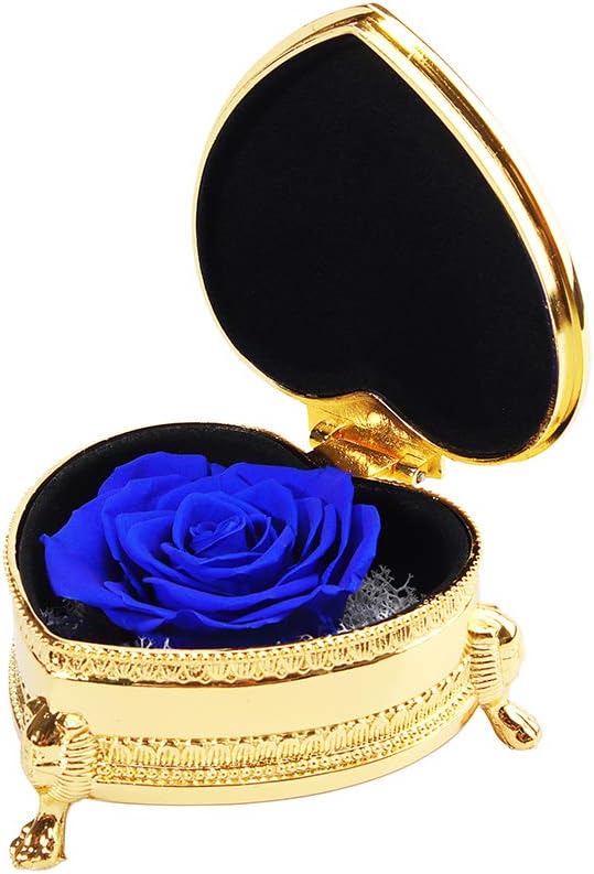 Just Life Preserved Rose - Unique Gifts for Women, Valentine's Day, Christmas, Mother's Day, Birthday Gifts