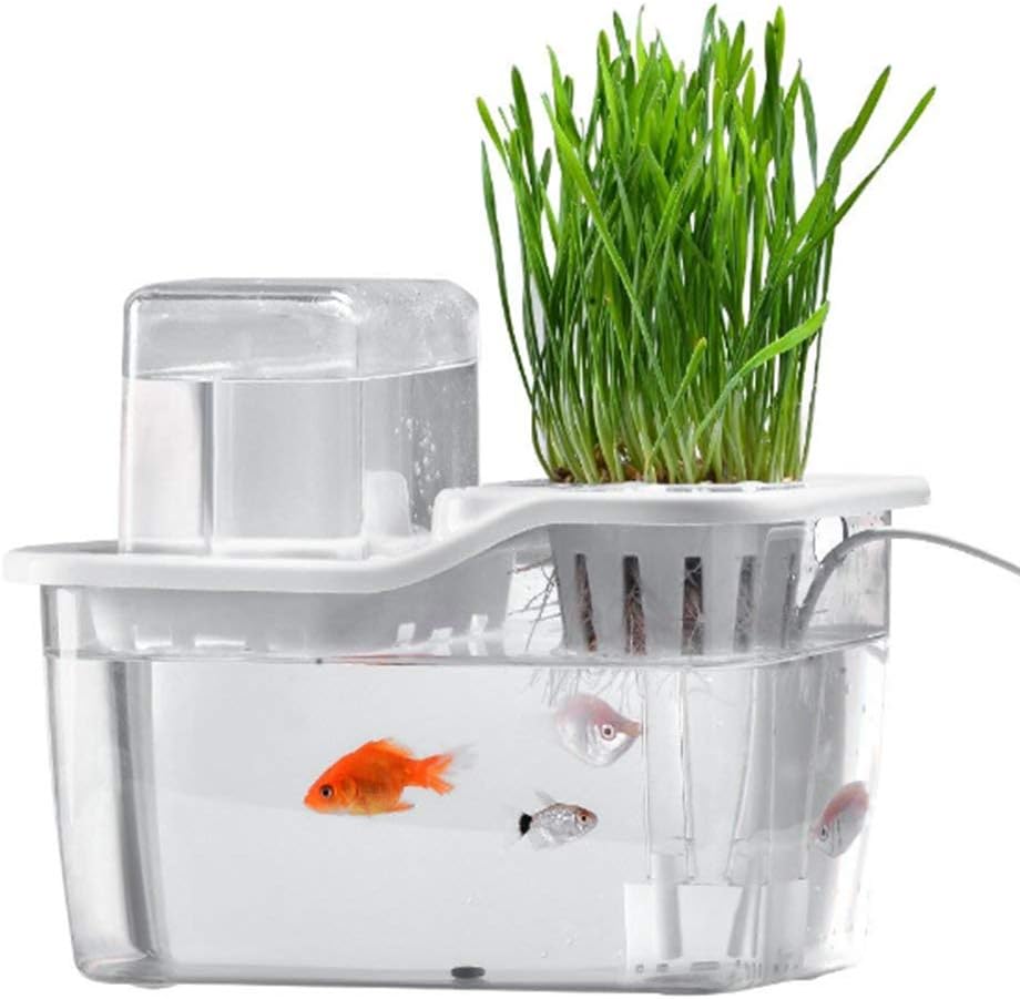 EQS Mini Water Garden Fish Tank, Hydroponics Growing System Fish tank with Organic Aquaponic Sprouts and Herbs Aquarium Starter Kit for Father Husband