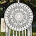 Ricdecor Handmade Indian Real Feathers Dream Catcher Wall Hanging Car Hanging Decoration Ornament (Dia 8
