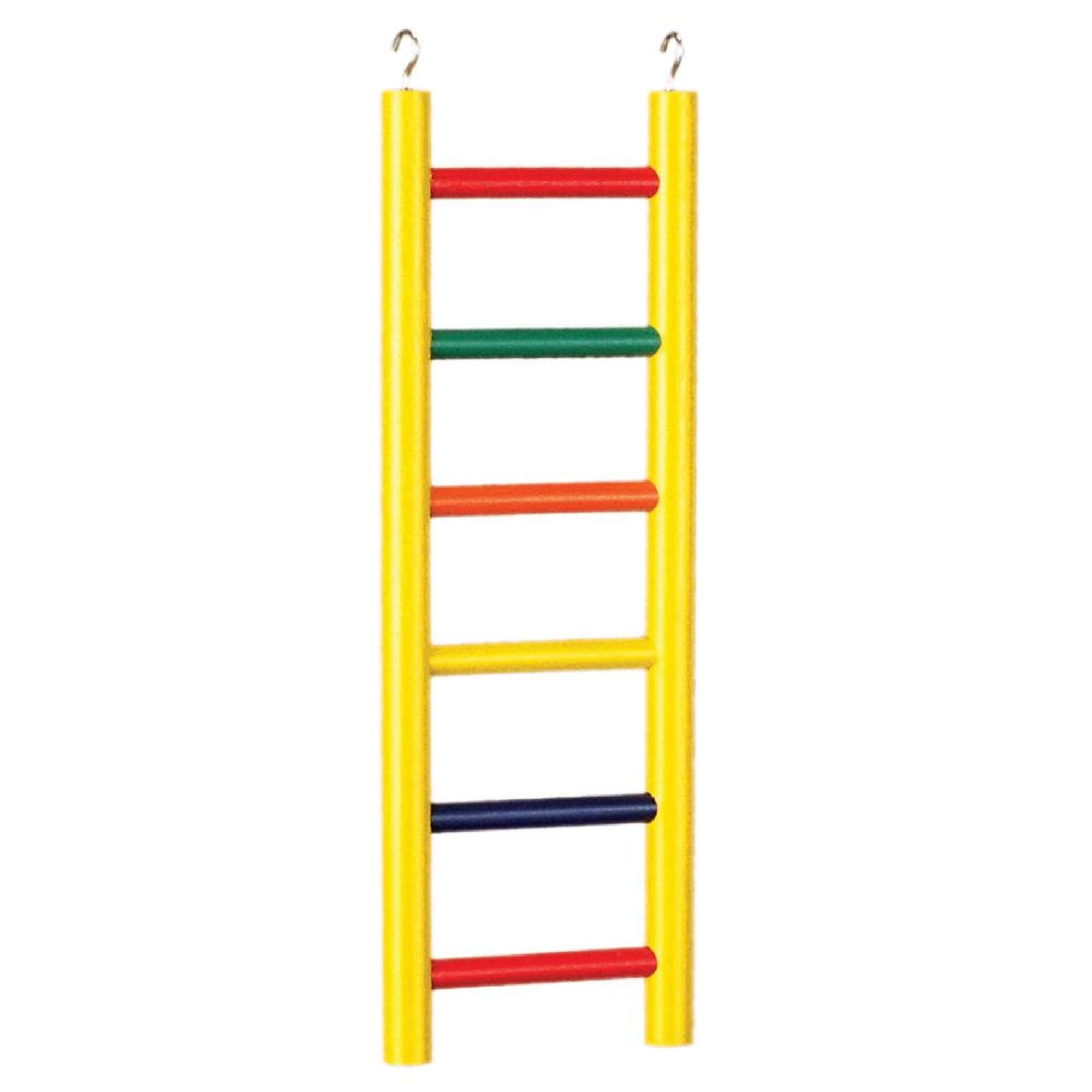 Prevue Pet Products BPV01135 Carpenter Creations Hardwood Bird Ladder with 6 Rungs, 12-Inch, Colors Vary