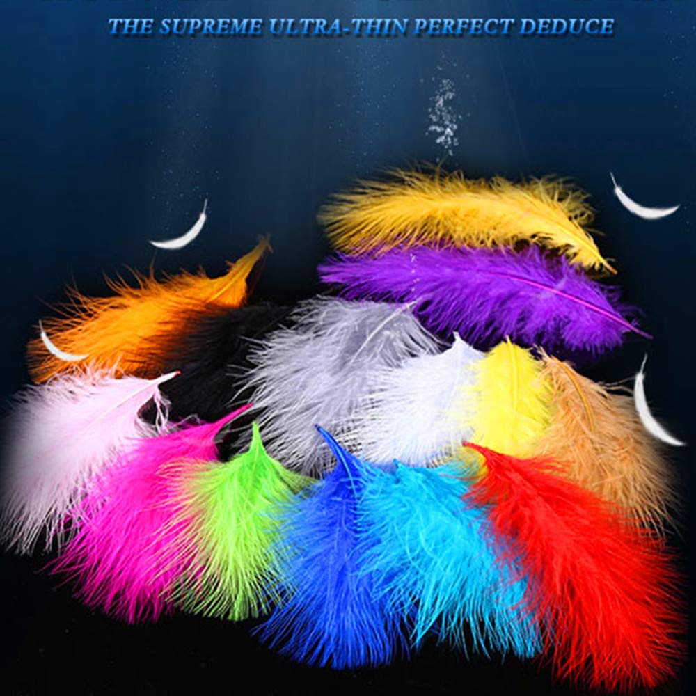 Rgargga Plumes Colorées, 250pcs Naturel Multicolore Plume Décoration pour DIY Arts Crafts, Idéal pour Costumes, Chapeaux, Décoration d\'intérieur Fete Mariage Anniversaire