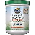 Garden of Life Raw Organic Perfect Food Energizer Juiced Green Superfood Powder - Yerba Mate Pomegranate, & Probiotics, Glute