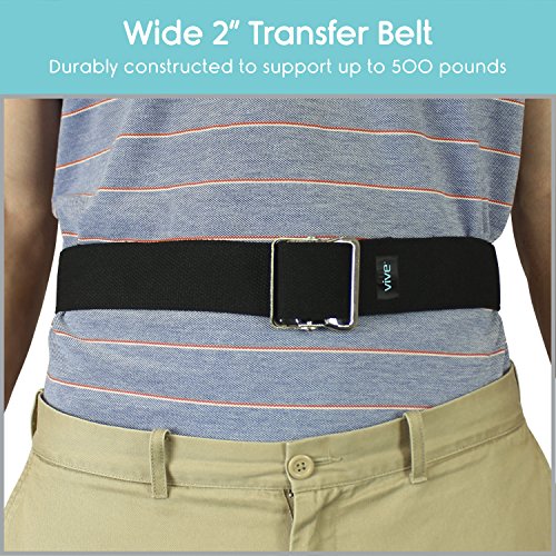 Transfer Belt