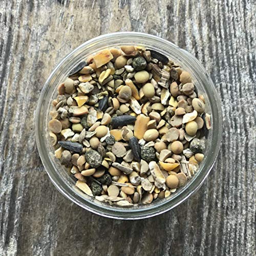 Homestead Harvest NonGMO Turkey & Game Bird Grower 24 For Growing