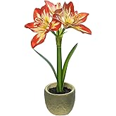 Coferset Lifelike Fake Flower Plant Potted 15" Artificial Amaryllis for Home Bathroom Office Living Room Shelf Tabletop Decor-Realistic Faux Flower Plant with Pot