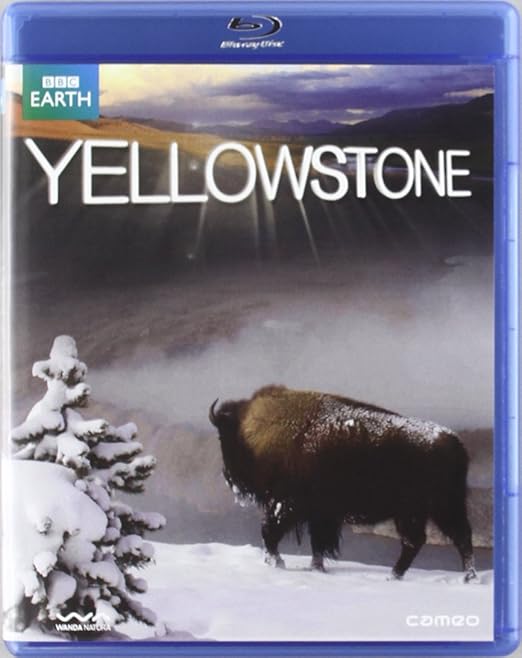 Yellowstone (BluRay) Amazon.co.uk DVD & Bluray