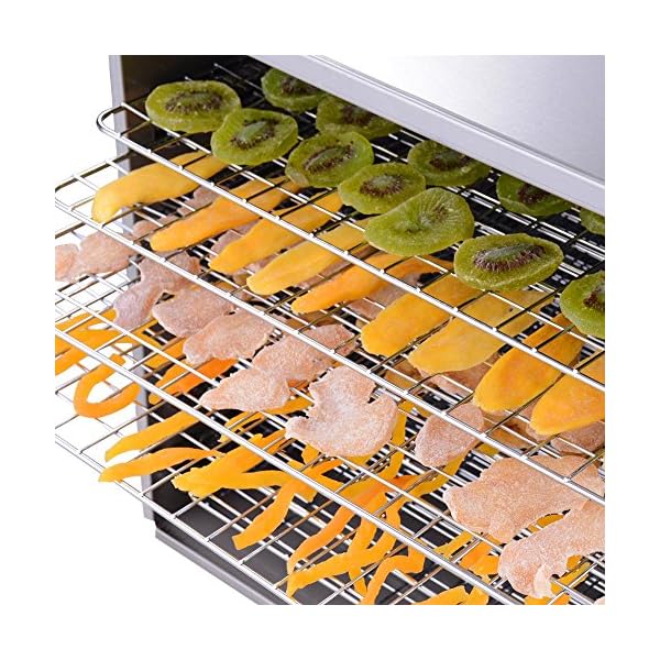 1200W-10-Tray-Stainless-Steel-Digital-Food-Jerky-Fruit-Dehydrator-with-10-Stainless-Steel-Shelves-Digital-Timer