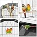 Yaheetech 36-inch Portable Hanging Medium Flight Bird Cage for Small Parrots Cockatiels Sun Quaker Parakeets Green Cheek Conures Parrotlets Finches Canary Budgies Lovebirds Travel Bird Cage, Blackthumb 1