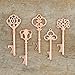 Ella Celebration 50 Key Bottle Openers Rose Gold Wedding Favors Decorations Assorted Vintage Skeleton Keys (50, Rose Gold)