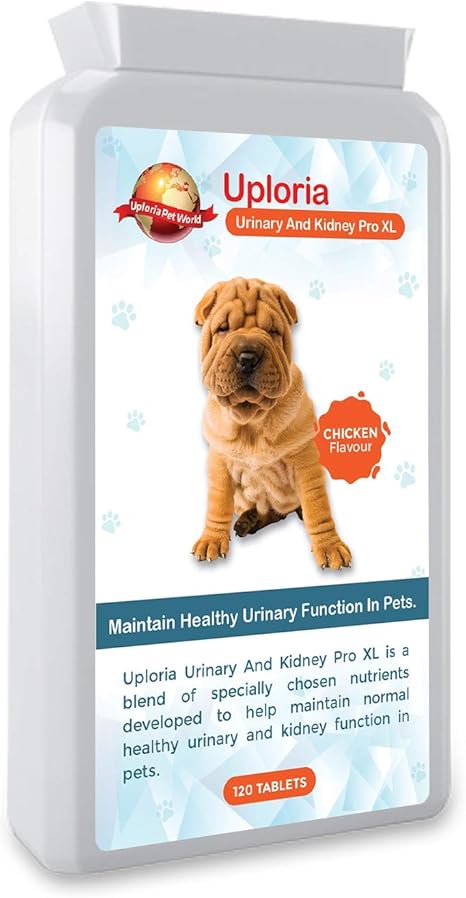 Uploria Pet World Antibiotiques Pour Le Traitement Des Infections Urinaires Chez Le Chien Et Le Chat Avec Soutien Quotidien Pour Le Systeme Urinaire Et Renal Amazon Fr Animalerie
