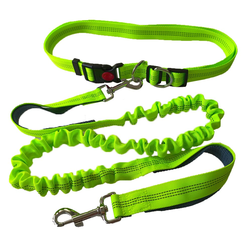 QitinDasen Green Hands Free Dog Leash with Adjustable Waist Belt and Dual-Handle Retractable Bungee, Jogging with Reflective Stitching (Grey Handle)