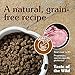 Taste of the Wild Grain Free High Protein Real Meat Recipe Southwest Canyon Premium Dry Dog Food