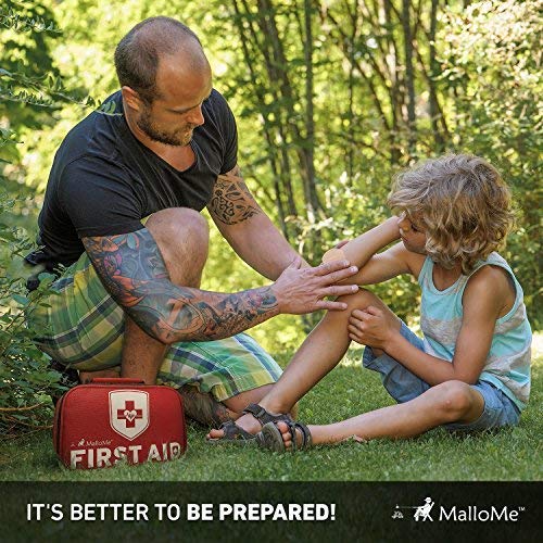 2-in-1 Large First Aid Survival Kit (353-Piece) Camping Gear Accessories for Emergency: Mini Small 52 Bonus Pieces for College Dorm Room Essentials, Car, Home, Baby, Travel, Office & Medical Supplies