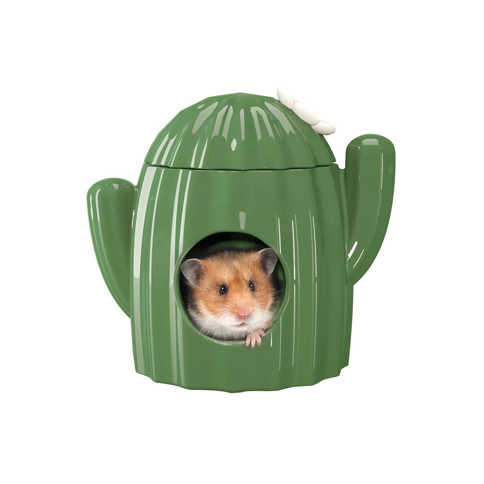 BUCATSTATE Hamster Hideout Ceramic - Cactus Shape Hamster House and Habitats Cool Bed Ideal for Summer Dwarf Hamster Gerbil Mice Golden Bear (Green-Large)