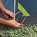 Sundome 4 Person Tent (Green and Navy color options)