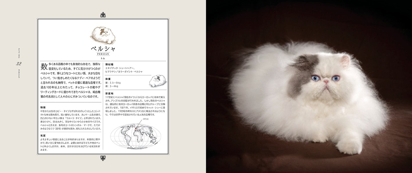 世界の美しい猫 ダーリーン アーデン ニック メイズ 小宮 輝之 本 通販 Amazon