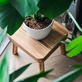 Eden Creations Small Wooden Stool, Plant Stand & Kids Step Stool 20cm view 2
