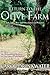 Return to the Olive Farm (The Olive Series Book 4)