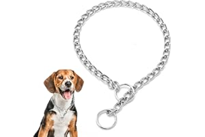 Chain Dog Collar for Medium Dogs Metal Slip Link Training Heavy Duty Dog Collar Martingale Puppy Collars for XXS XS Small Med